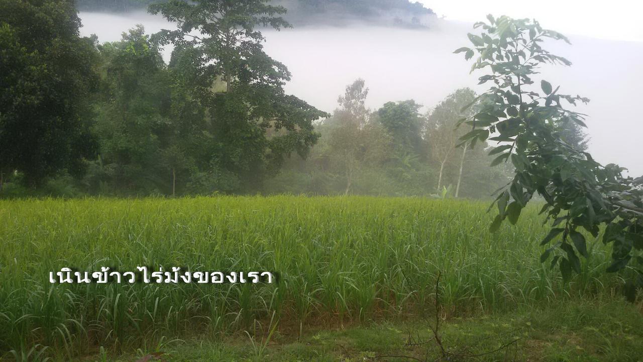Kaokorswiss Resort Khao Kho Extérieur photo